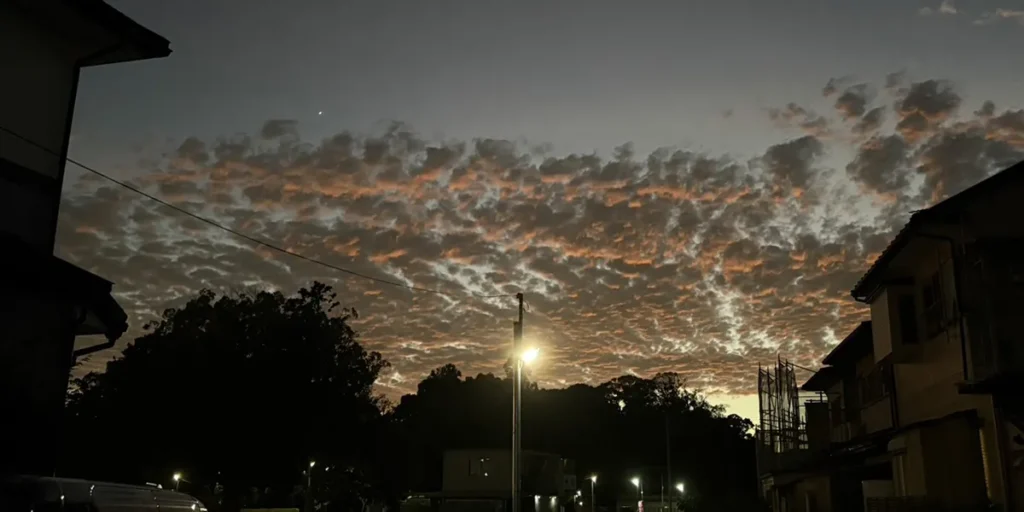 夕陽